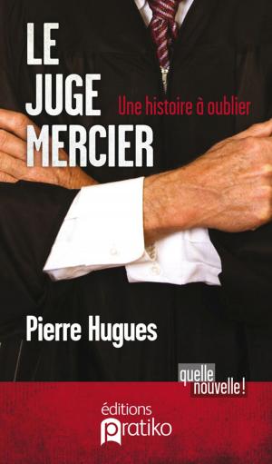 Book cover of Juge Mercier Le