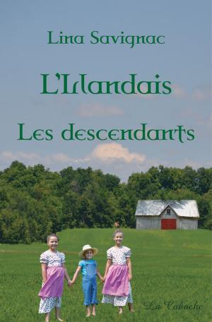 Cover of the book L'Irlandais - Les descendants by Monique Michaud
