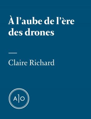 Book cover of À l'aube de l'ère des drones