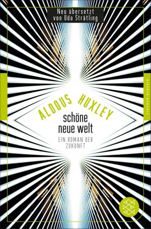 Cover of the book Schöne Neue Welt by Judith Hermann