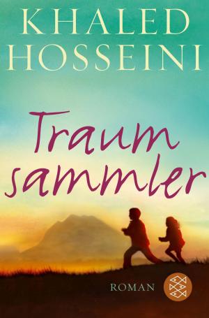 Cover of the book Traumsammler by Christoph Ransmayr
