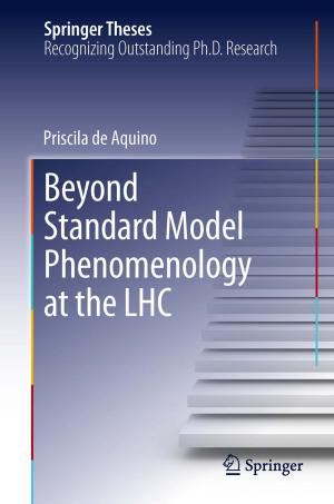 bigCover of the book Beyond Standard Model Phenomenology at the LHC by 