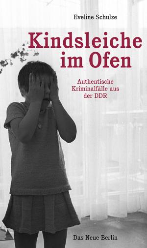 Cover of the book Kindsleiche im Ofen by Lutz Niemczik