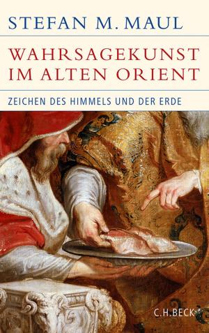 Cover of the book Die Wahrsagekunst im Alten Orient by Wolfgang Mentzel