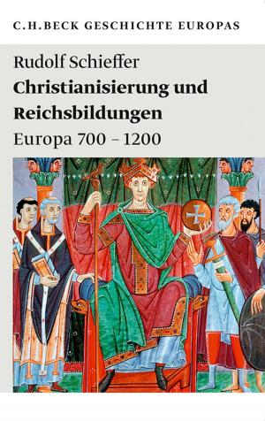 Cover of the book Christianisierung und Reichsbildungen by Karl Ubl