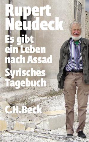 Cover of the book Es gibt ein Leben nach Assad by Marc Nouschi