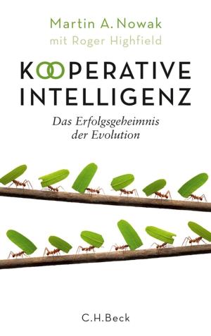 Cover of the book Kooperative Intelligenz by Franz-Michael Konrad