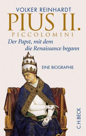 Cover of the book Pius II. Piccolomini by Werner Dahlheim
