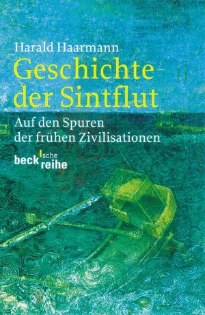 Book cover of Geschichte der Sintflut
