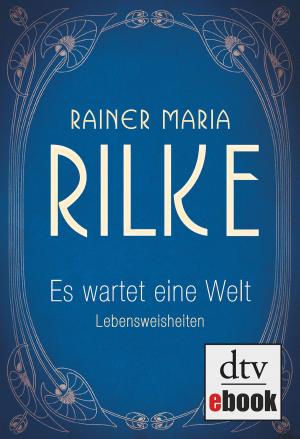 Cover of the book Es wartet eine Welt Lebensweisheiten by Christina Berndt