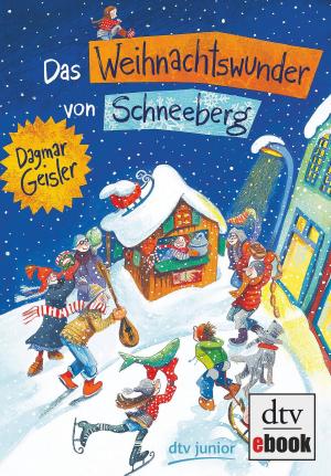 Cover of the book Das Weihnachtswunder von Schneeberg by 