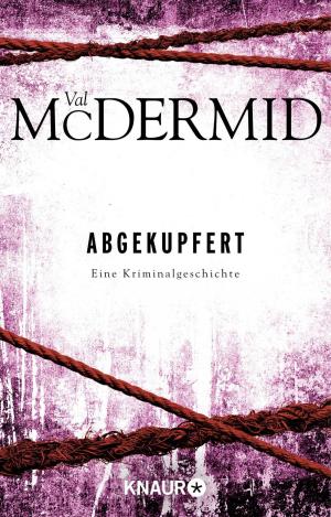 Cover of the book Abgekupfert by Scott McBain
