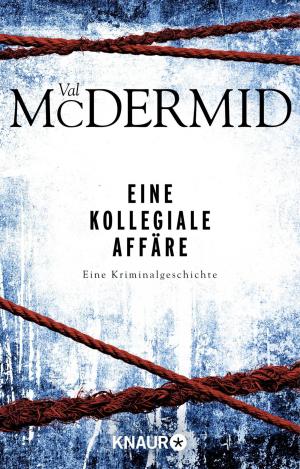 Cover of the book Eine kollegiale Affäre by Tanja Kinkel
