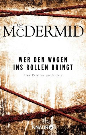 Cover of the book Wer den Wagen ins Rollen bringt by Val McDermid