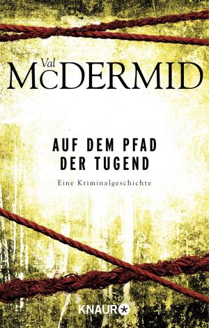 Cover of the book Auf dem Pfad der Tugend by Torkil Damhaug