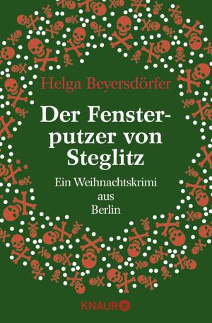 Cover of the book Der Fensterputzer von Steglitz by Bernhard Moestl