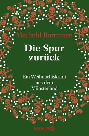 Cover of the book Die Spur zurück by Mac P. Lorne