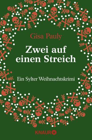 Cover of the book Zwei auf einen Streich by Friedrich Ani