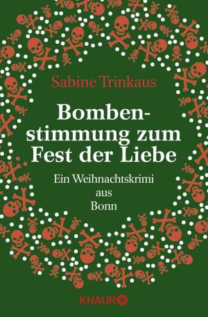Book cover of Bombenstimmung zum Fest der Liebe