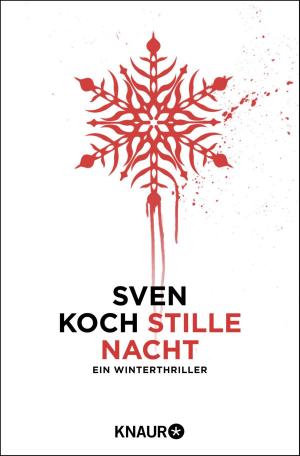 Cover of the book Stille Nacht by Friedrich Ani