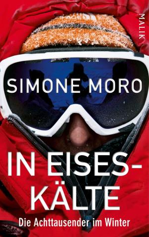 Cover of the book In Eiseskälte by Lauren Rowe