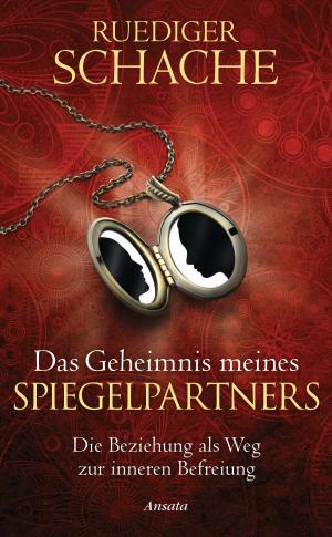 Cover of the book Das Geheimnis meines Spiegelpartners by Diana Cooper