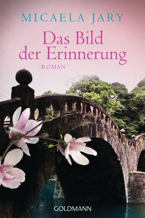 Book cover of Das Bild der Erinnerung