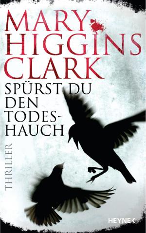 Cover of the book Spürst du den Todeshauch by Robert Ludlum