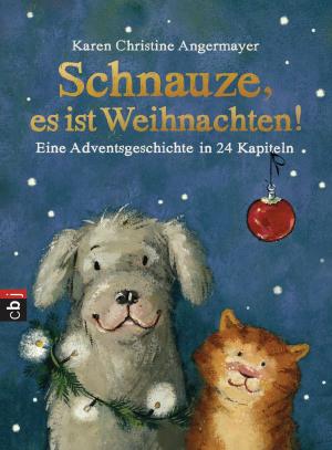 Cover of the book Schnauze, es ist Weihnachten by Michael Scott