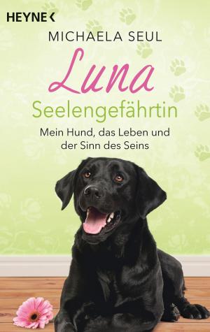 Cover of the book Luna, Seelengefährtin by Barbara Simonsohn
