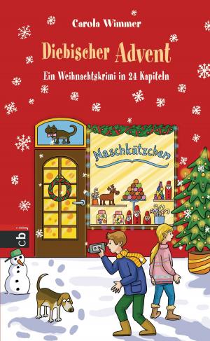 Book cover of Diebischer Advent