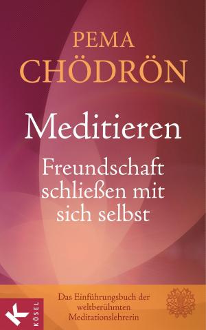 Cover of the book Meditieren - Freundschaft schließen mit sich selbst by Antje Vollmer