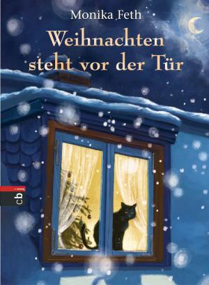 Cover of the book Weihnachten steht vor der Tür by Morgan Matson