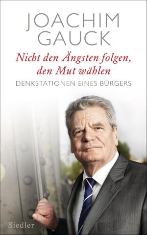 Cover of the book Nicht den Ängsten folgen, den Mut wählen by Josef Joffe