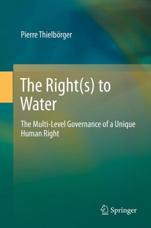 Cover of the book The Right(s) to Water by Pascal Volino, Nadia Magnenat-Thalmann