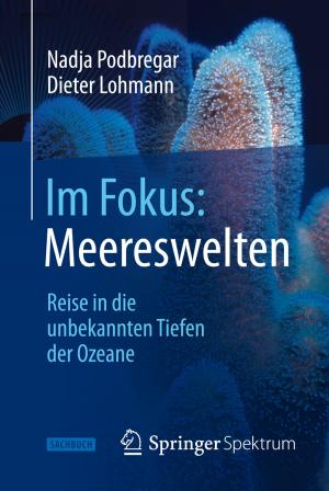 Book cover of Im Fokus: Meereswelten