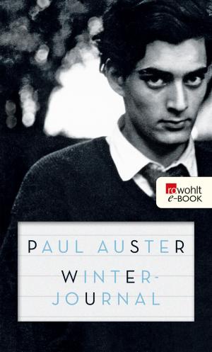 Cover of the book Winterjournal by Vladimir Nabokov, Dieter E. Zimmer