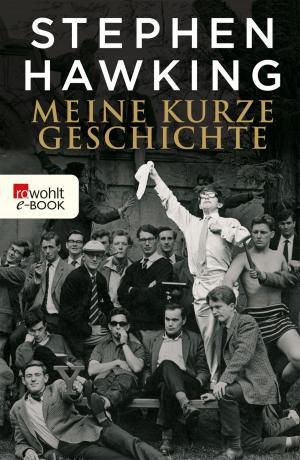 Book cover of Meine kurze Geschichte