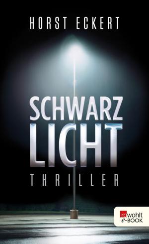 Cover of the book Schwarzlicht by Jim Holt