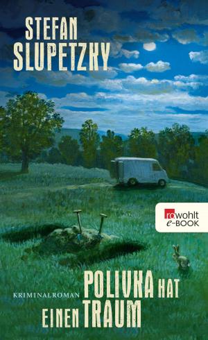 Cover of the book Polivka hat einen Traum by Ann Cleeves