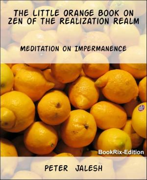 Cover of the book The Little Orange Book on Zen of the Realization Realm by Danny Wilson