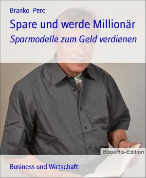 Cover of the book Spare und werde Millionär by W. A. Hary