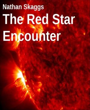 Cover of the book The Red Star Encounter by Horst Friedrichs