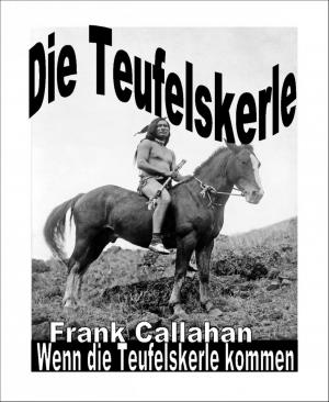 Cover of the book Die Teufelskerle 5 - Wenn die Teufelskerle kommen by Julie Steimle