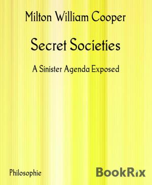 Cover of the book Secret Societies by Steven J. Harrison