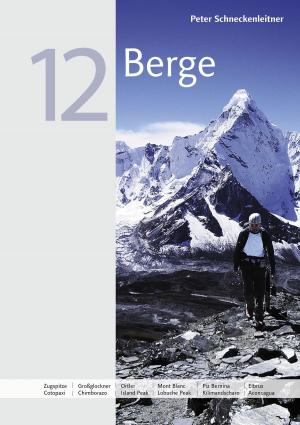 Cover of the book 12 Berge by Thorsten Peter