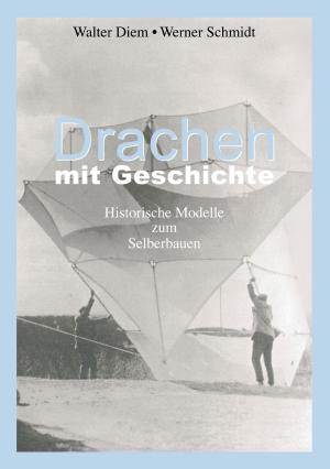 Cover of the book Drachen mit Geschichte by Wiebke Holtmann