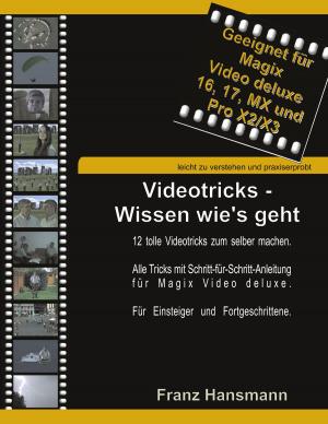 Cover of the book Videotricks - Wissen wie's geht by Jens Kegel
