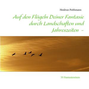 Cover of the book Auf den Flügeln Deiner Fantasie durch Landschaften und Jahreszeiten by Katharina Kraemer