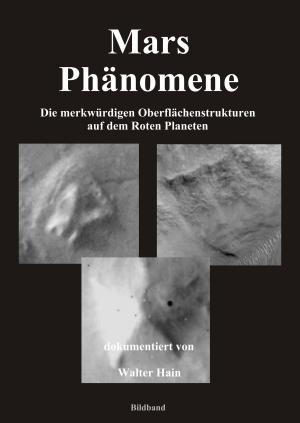 Cover of the book Marsphänomene by Jürg Meier